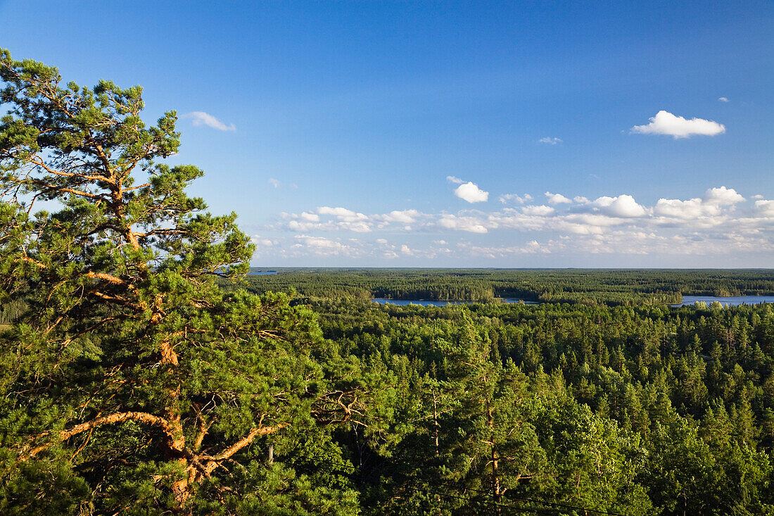 Aussicht vom Aussichtsturm Aboda über Wälder und Seen, Aboda Klint, Smaland, Südschweden, Schweden, Skandinavien, Europa