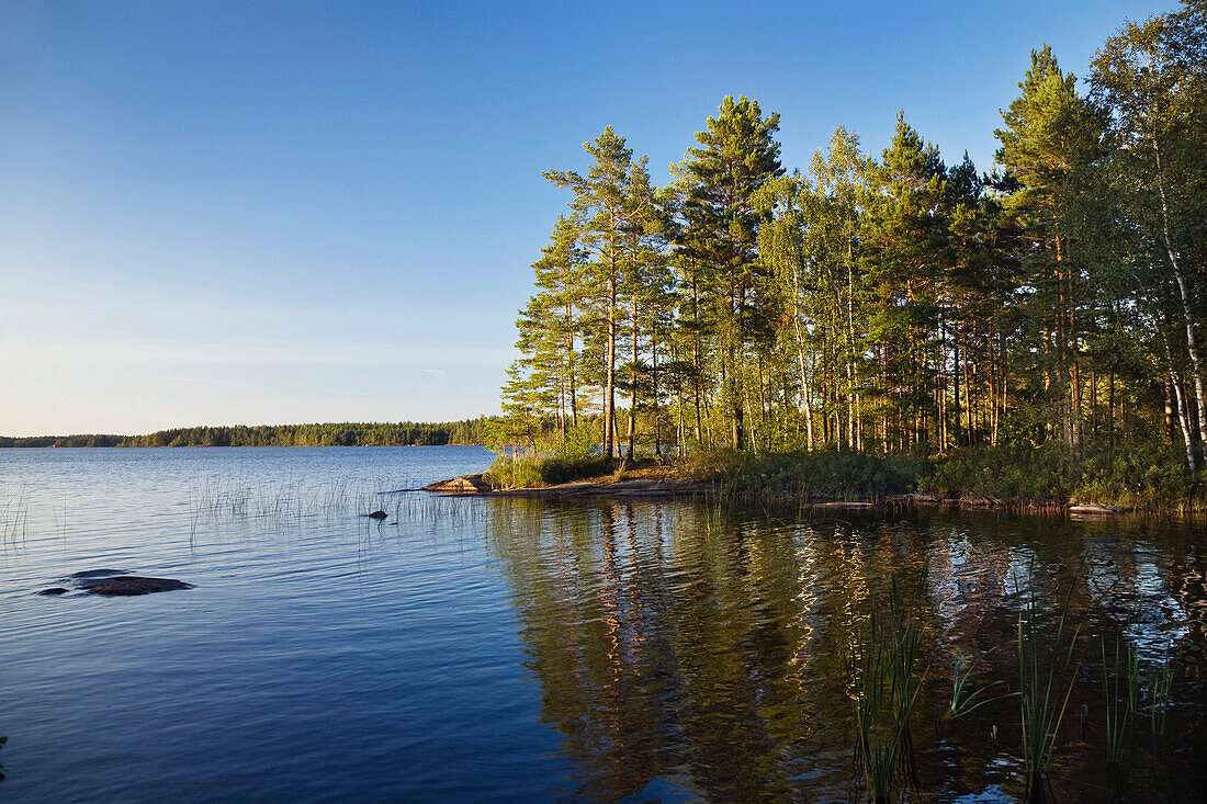 Landschaft am Boasjön See, Smaland, Schweden