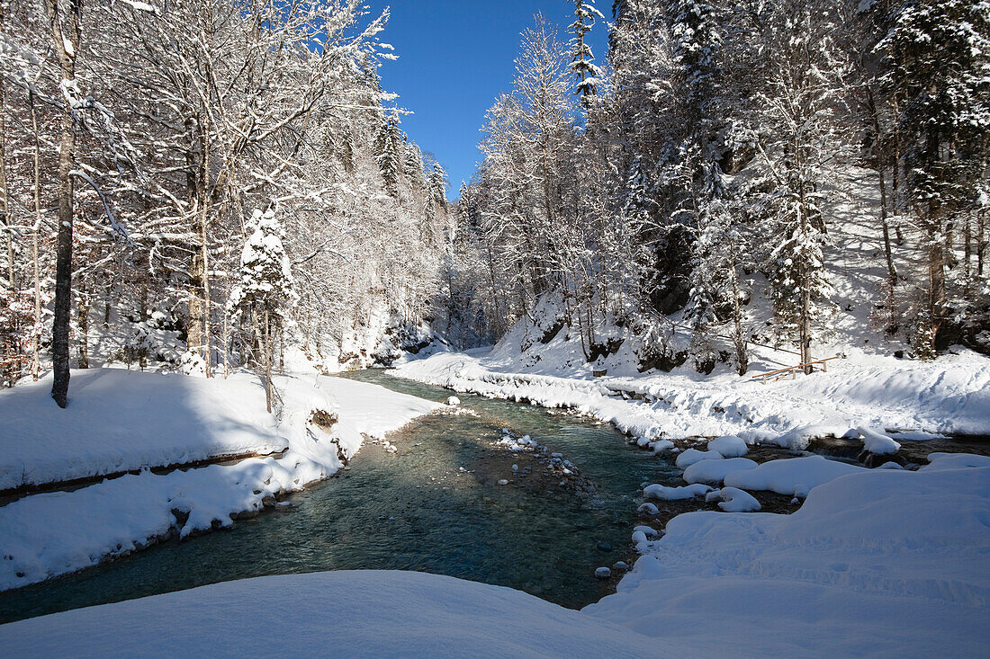 Bergbach Partnach bei Garmisch-Partenkirchen, Werdenfelser Land, Oberbayern, Deutschland, Europa