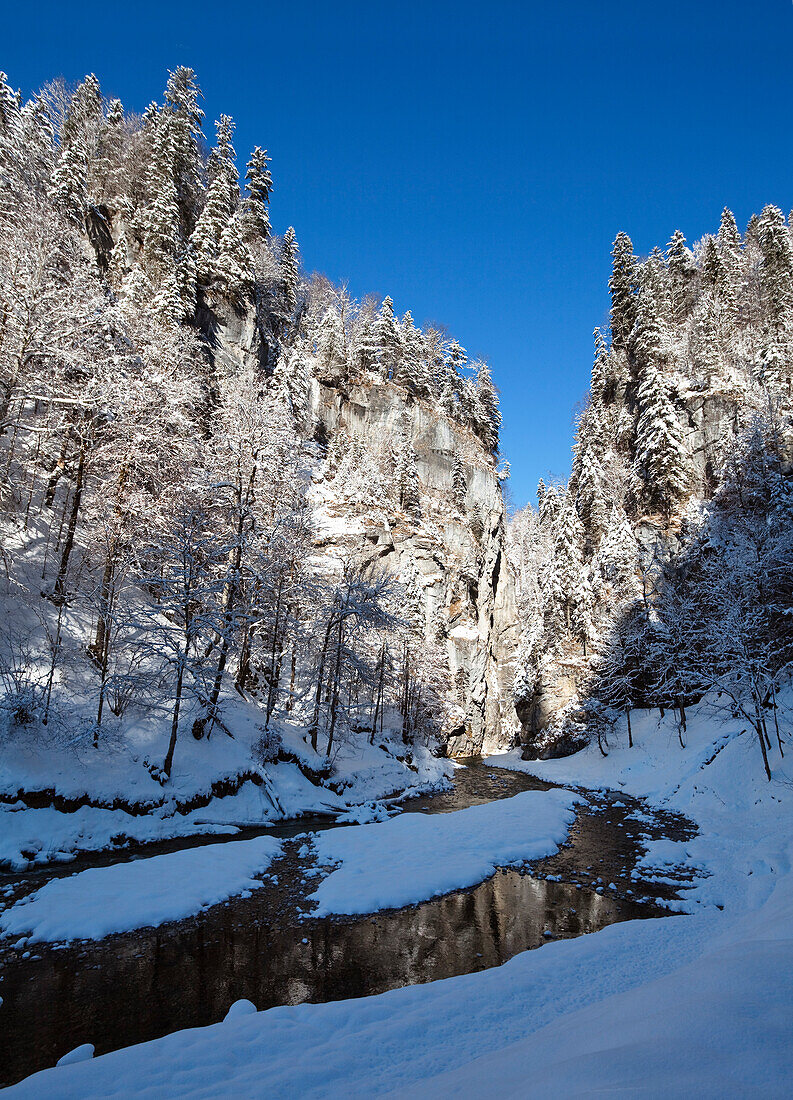 Bergbach Partnach fließt in die Partnachklamm bei Garmisch-Partenkirchen, Werdenfelser Land, Oberbayern, Deutschland, Europa