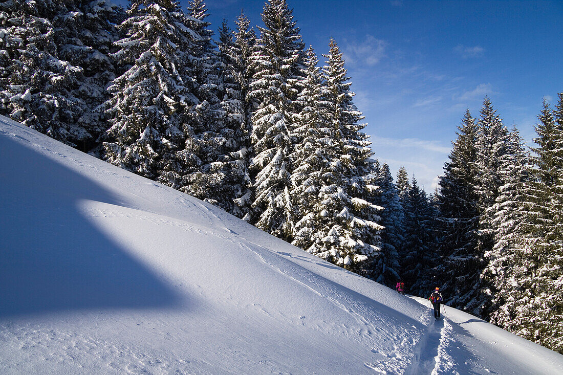 Winterlandschaft mit Schneeschuh-Spur in Gipfelnähe des Zwiesel, Landkreis Bad Tölz, Oberbayern, Deutschland, Europa