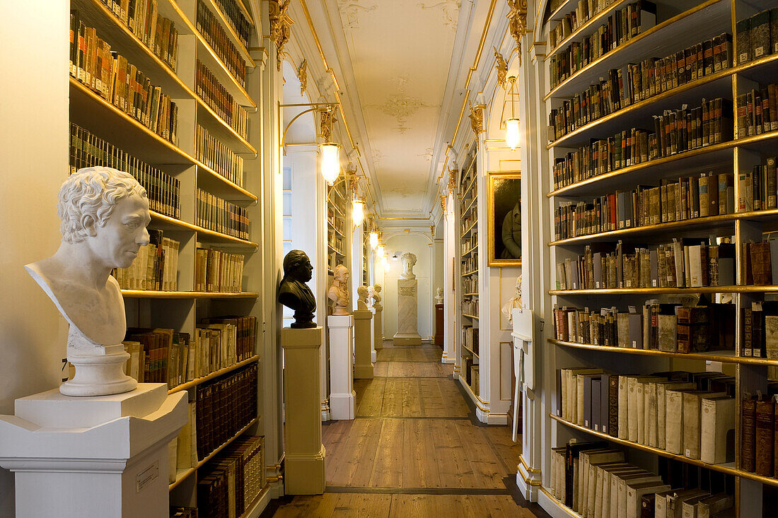 The historic Rococo room of the Duchess Anna Amalia Library, Weimar, Thuringia, Germany, Europe