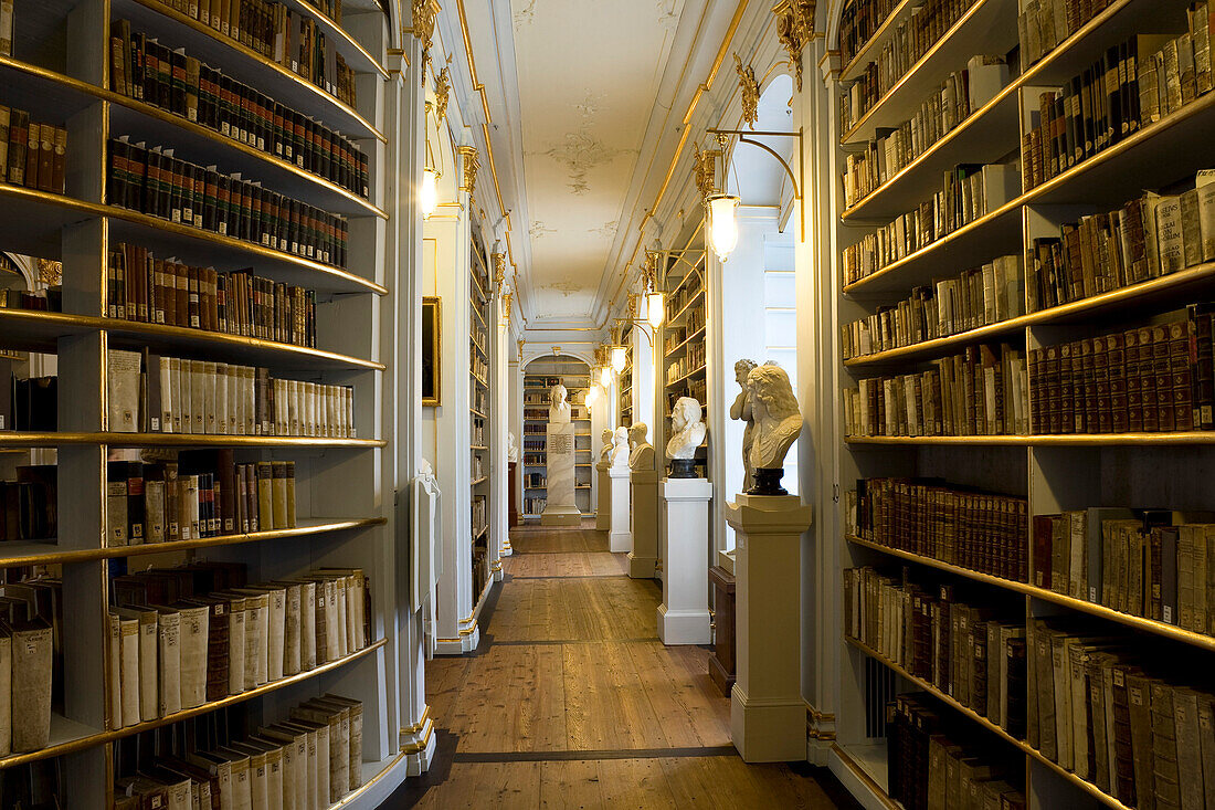 Rokokosaal der Herzogin Anna Amalia Bibliothek, gehört seit 1998 zum Weltkulturerbe der UNESCO, Weimar, Thüringen, Deutschland, Europa