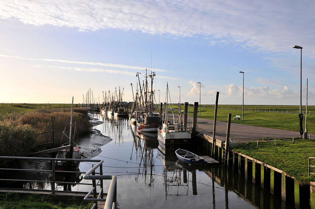 Shrimp trawlers in the harbour, Spieka near Nordholz, North Sea coast of Lower Saxony, Germany