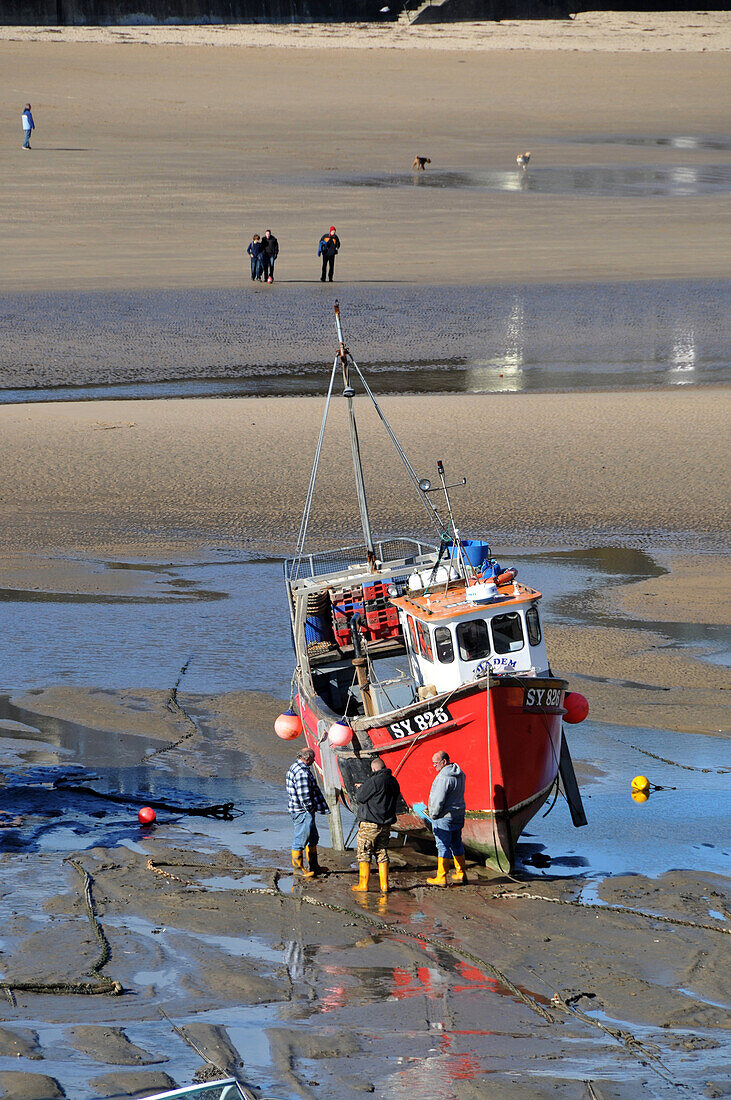 At Tenby harbour, Pembrokeshire, south-Wales, Wales, Great Britain