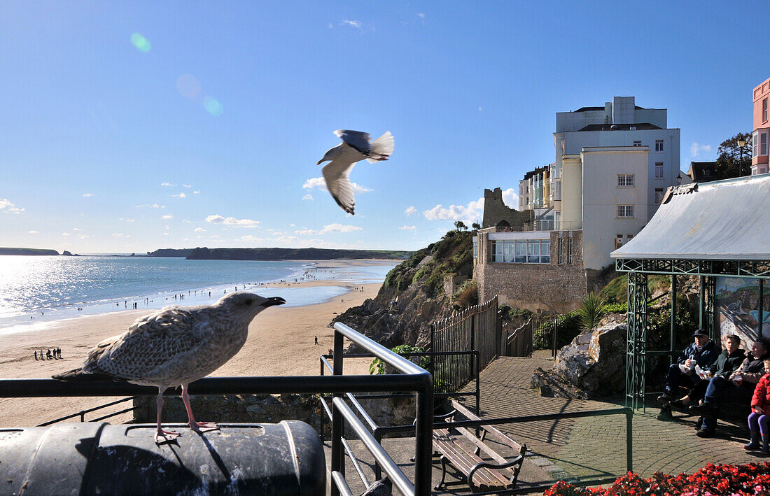 Meerpromenade bei Tenby, Pembrokeshire, Süd-Wales, Wales, Großbritannien