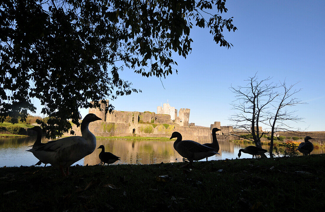 Caerphilly castle, medieval castle in Caerphilly near Cardiff, south-Wales, Wales, Great Britain