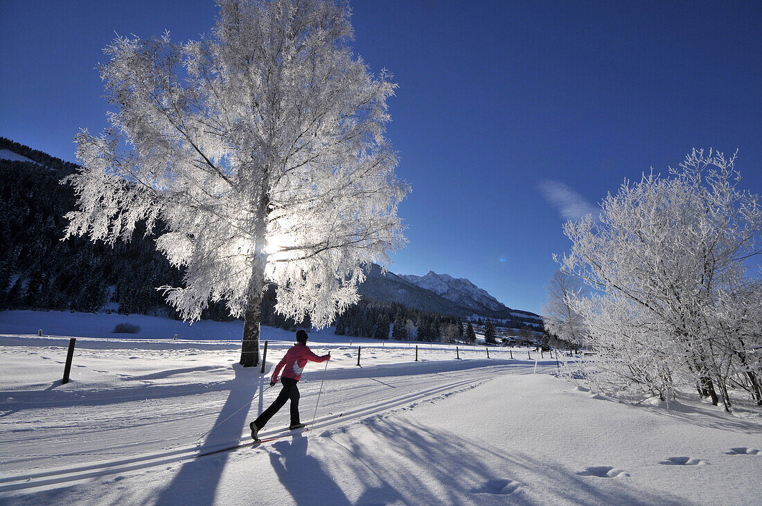 Frau beim Skilanglauf bei Kössen im Kaiserwinkl, Winter in Tirol, Österreich