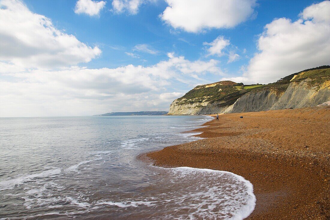 Looking along Chesil Beach towards the Golden Cap and Lyme Regis in the distance Dorset