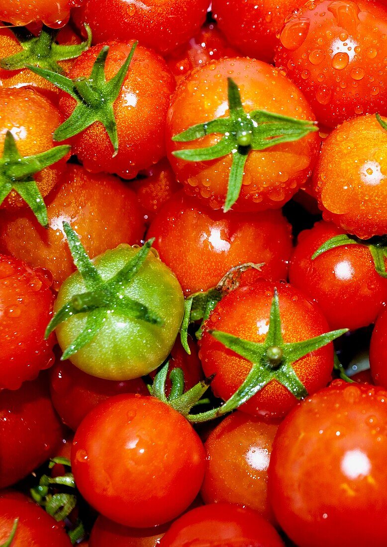 Ripe, red cherry tomatoes in bunch Close up Horizontal