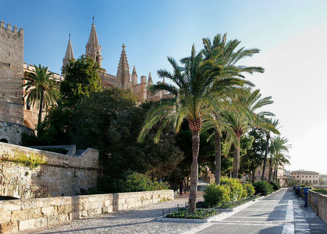 Park de la mer in front of Palma Cathedral, La Seu, Palma, Majorca, Spain