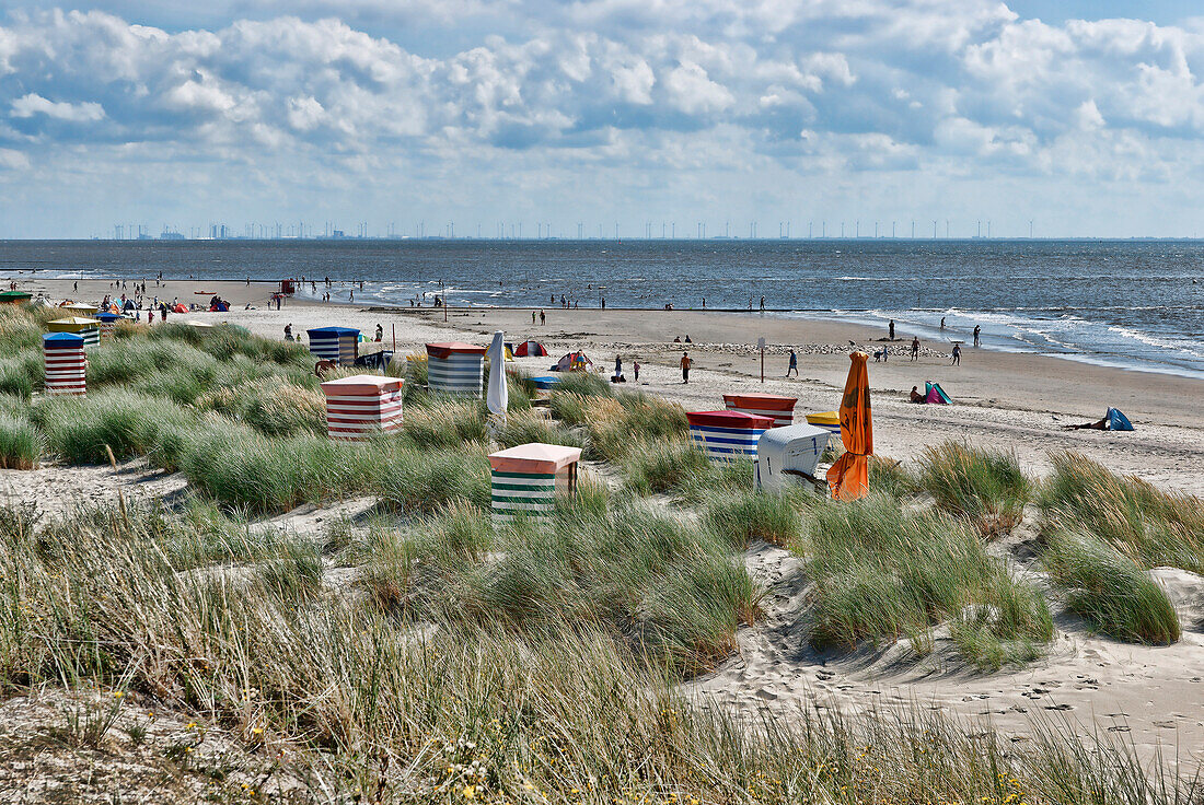 Strandkörber am Strand, Südbad, Nordseeinsel Borkum, Ostfriesland, Niedersachsen, Deutschland