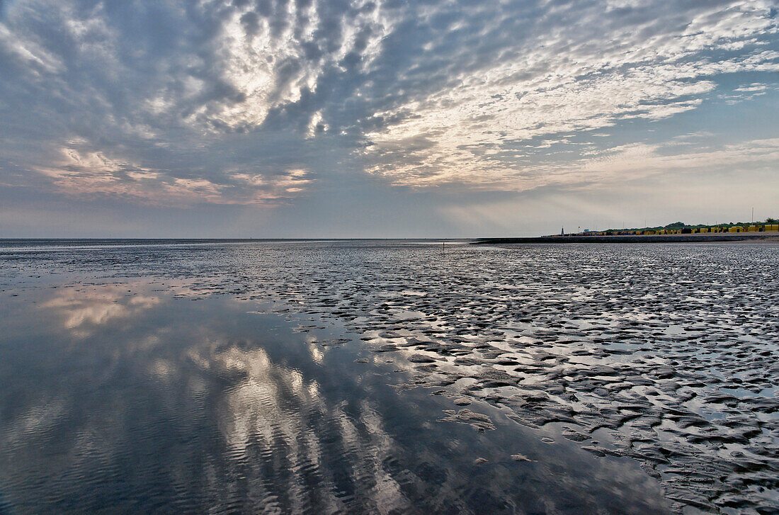 Wadden Sea National park in Doese, Cuxhaven, North Sea, Lower Saxony, Germany