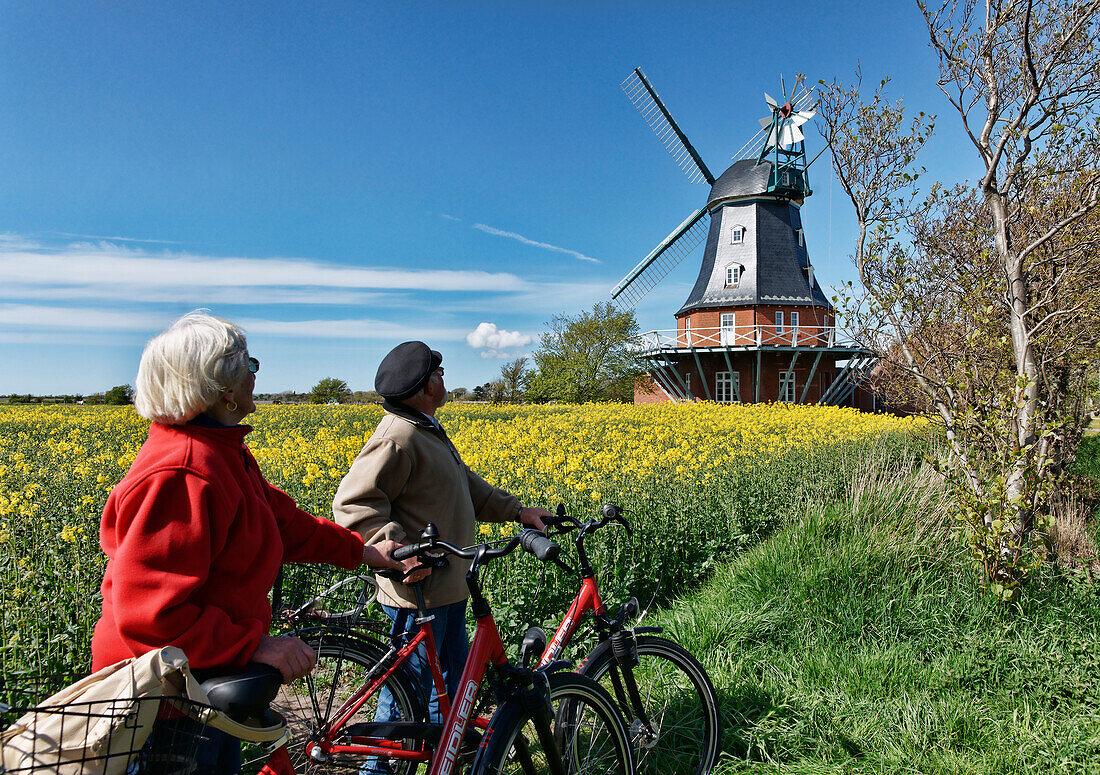 Windmill in Borgsum, North Sea Island Foehr, Schleswig-Holstein, Germany