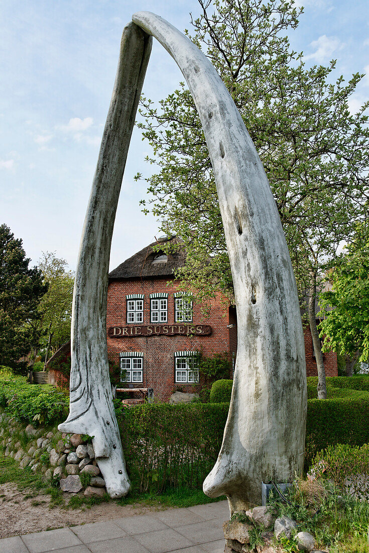 Whale Jaw Bone as entrance to the main house in the Museum, Carl-Haeberlin-Friesenmuseum, Wyk, North Sea Island Foehr, Schleswig-Holstein, Germany