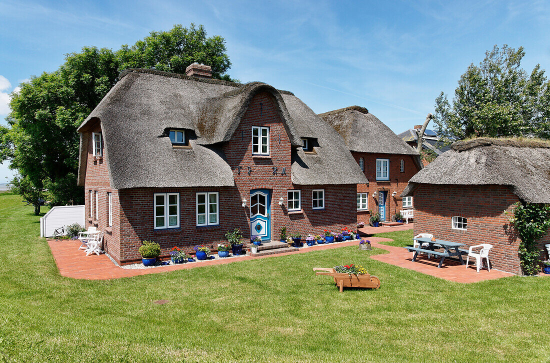 Wohnhaus mit Reetdach, Honkenswarf, Hallig Langeness, Nordsee, Schleswig-Holstein, Deutschland