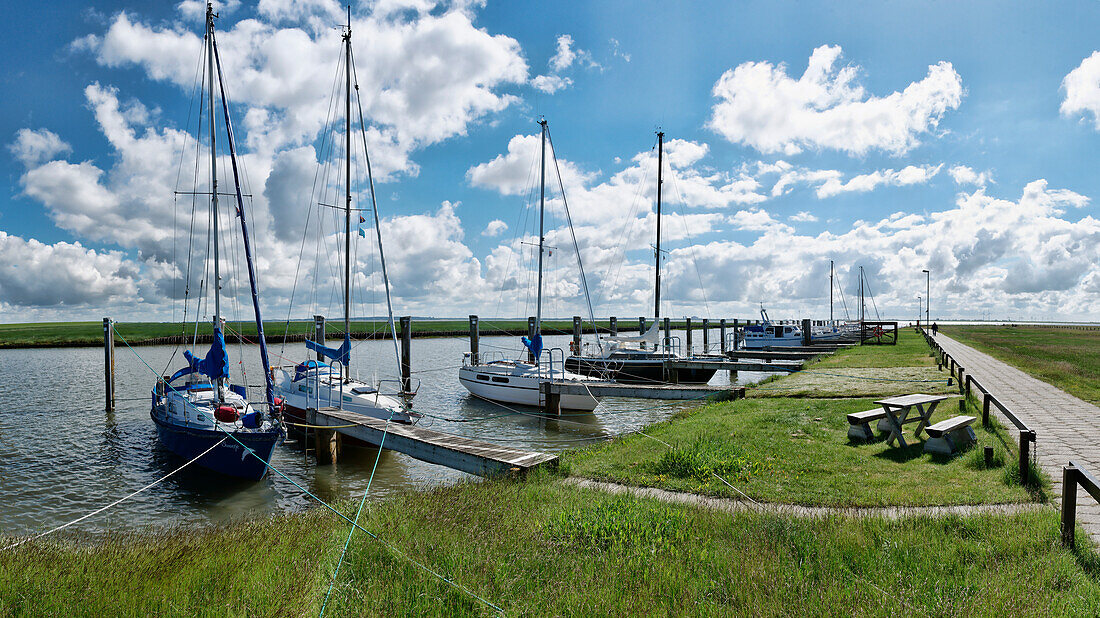 Sailing boats in the harbour, South Port, Nordstrand, Schleswig-Holstein, Germany