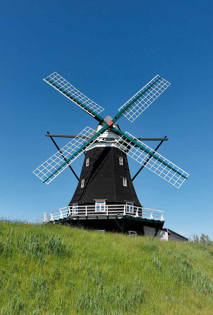 Nordermühle, Nordseeinsel Pellworm, Schleswig-Holstein, Deutschland