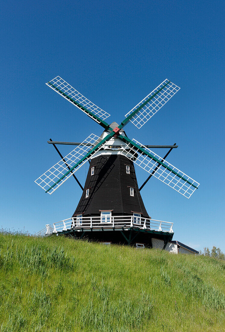 Windmill, Nordermühle, North frisian Island of Pellworm, Schleswig-Holstein, Germany