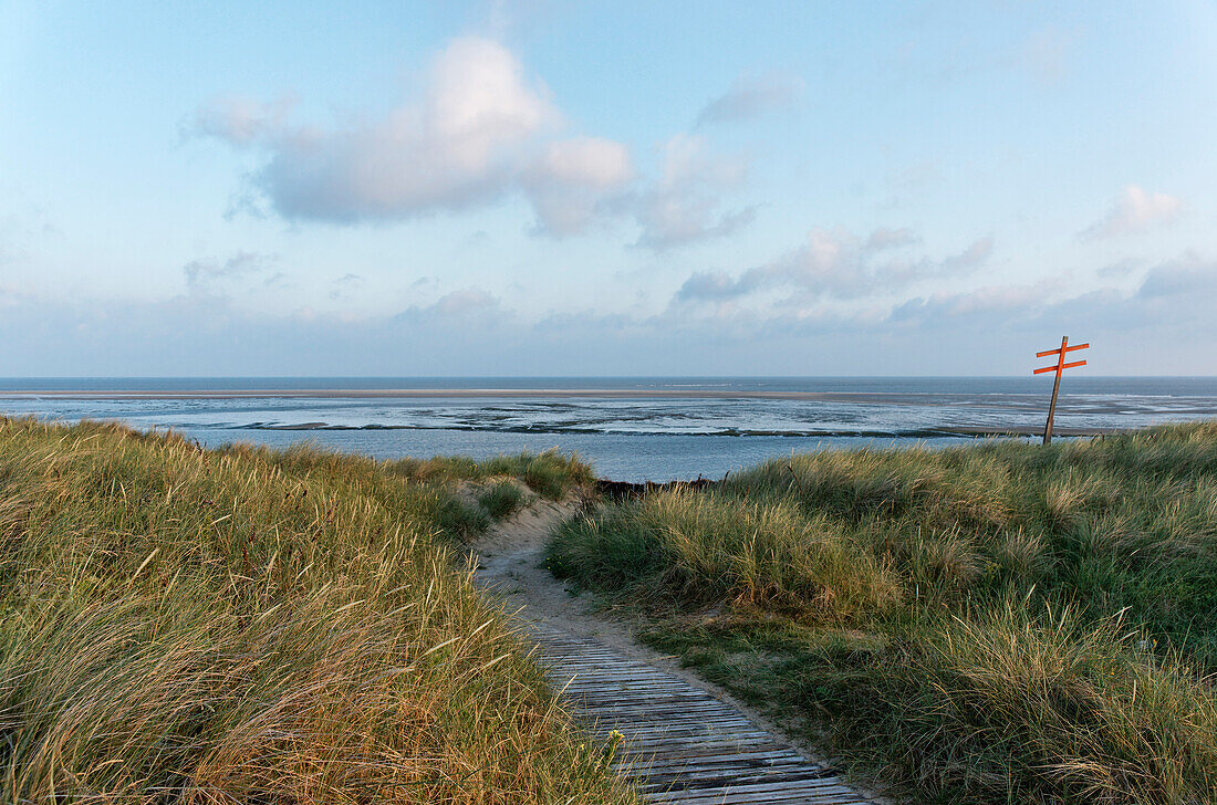 Dunes along the coast, North Sea Spa Resort Spiekeroog, East Frisia, Lower Saxony, Germany
