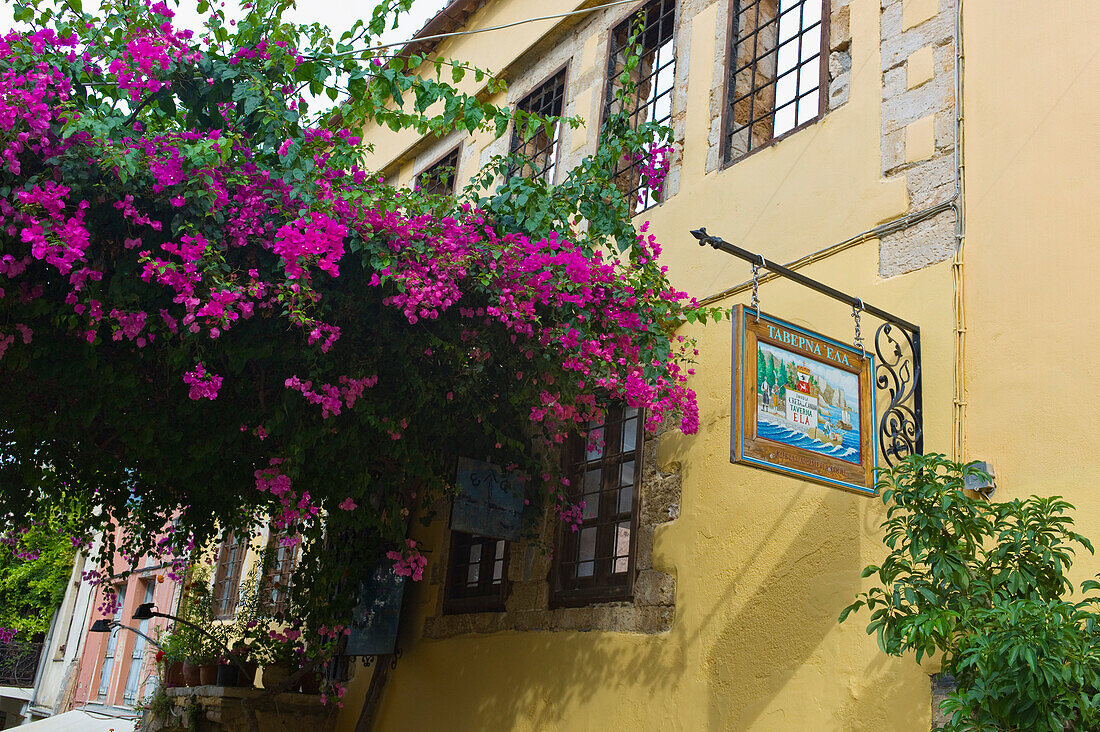Bougainvillea and Taverna sign in the old town, Hania, Chania, Crete, Greece, Europe