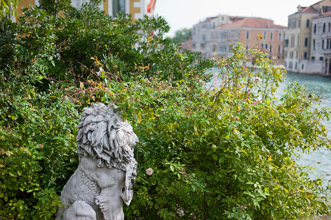 Lion sculpture on the bridge Ponte dell' Accademia at the Canale Grande, Venice, Veneto, Italy, Europe