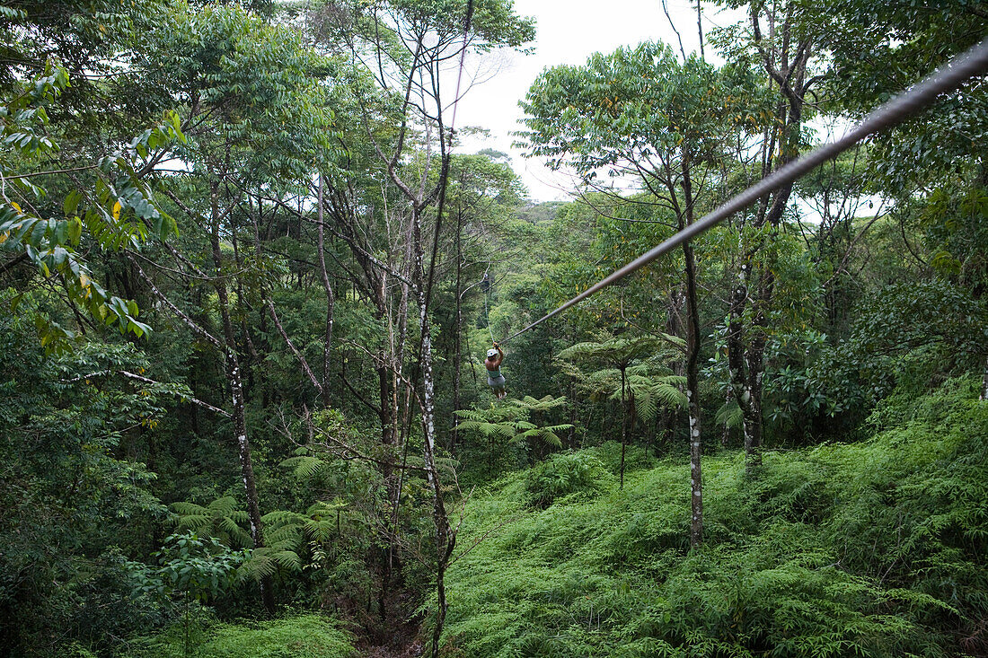 Eine Person beim Ziplining durch den Regenwald nahe Golfito, Golfo Dulce, Puntarenas, Costa Rica, Mittelamerika, Amerika