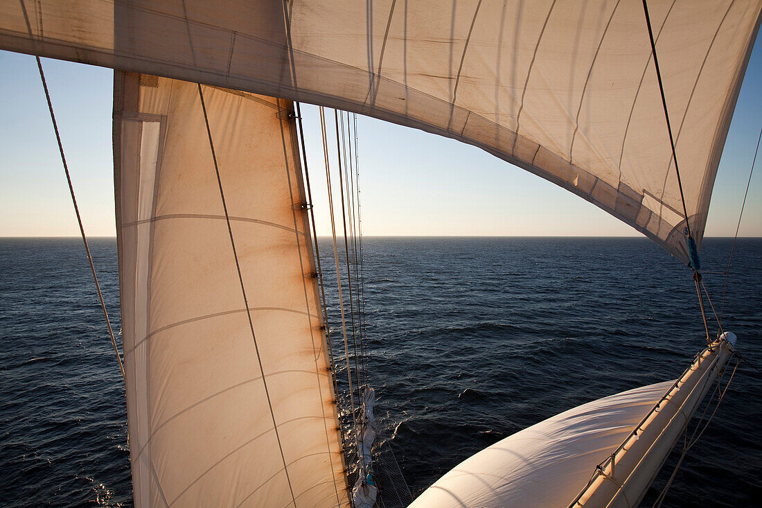 View at sails of sailing cruiseship Star Flyer (Star Clippers Cruises), Pacific Ocean, near Costa Rica, Central America, America