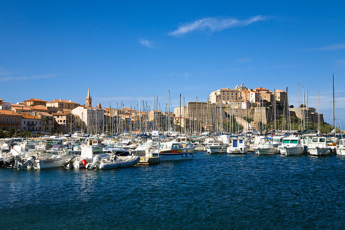 Hafen von Calvi, Korsika, Frankreich, Europa