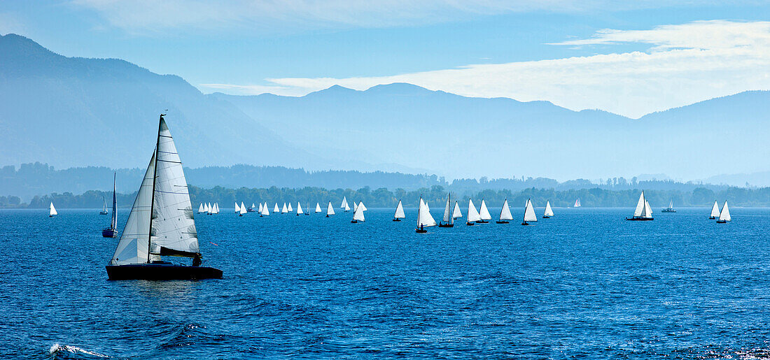 Chiemsee Regatta, Chiemsee, Chiemgau, Upper Bavaria, Bavaria, Germany