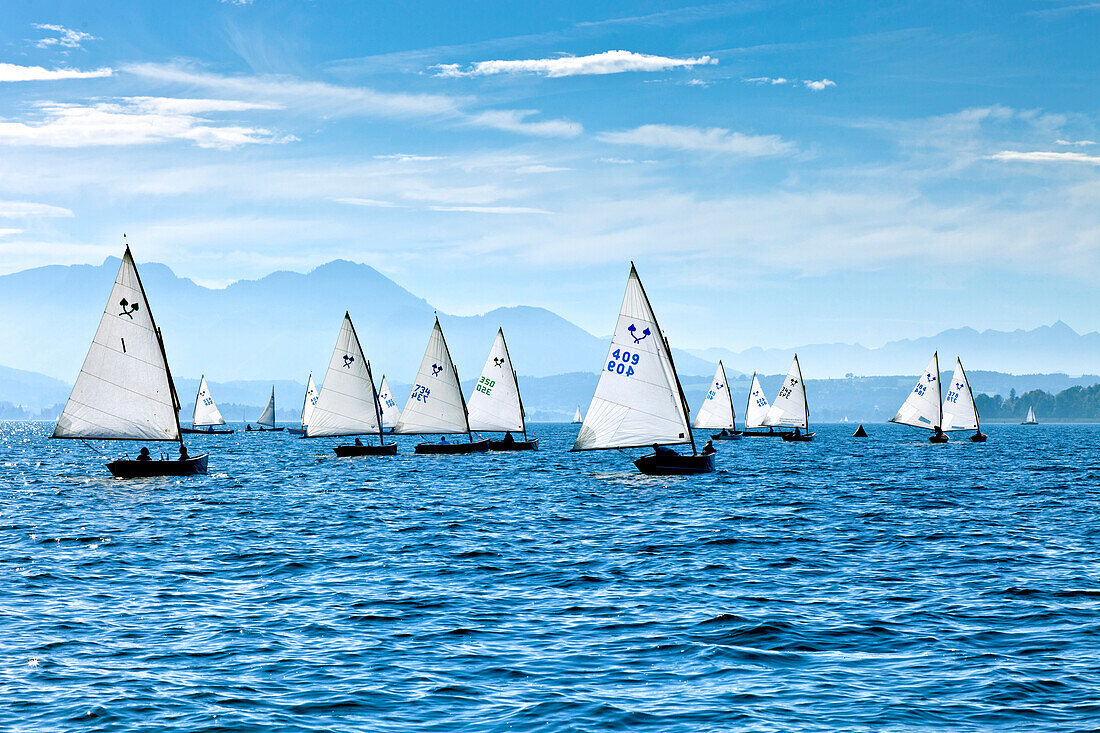 Chiemsee Regatta, Chiemsee, Chiemgau, Upper Bavaria, Bavaria, Germany