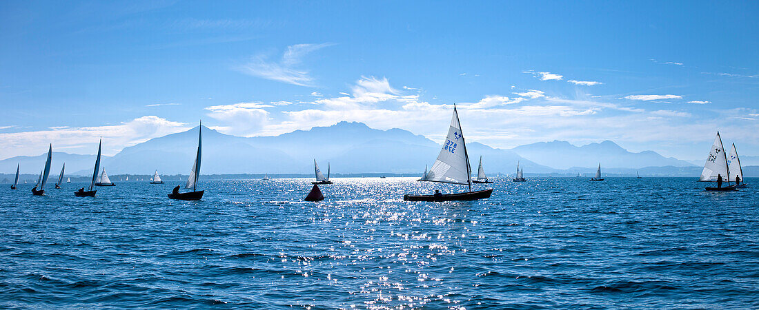 Chiemsee Regatta, Chiemsee, Chiemgau, Upper Bavaria, Bavaria, Germany