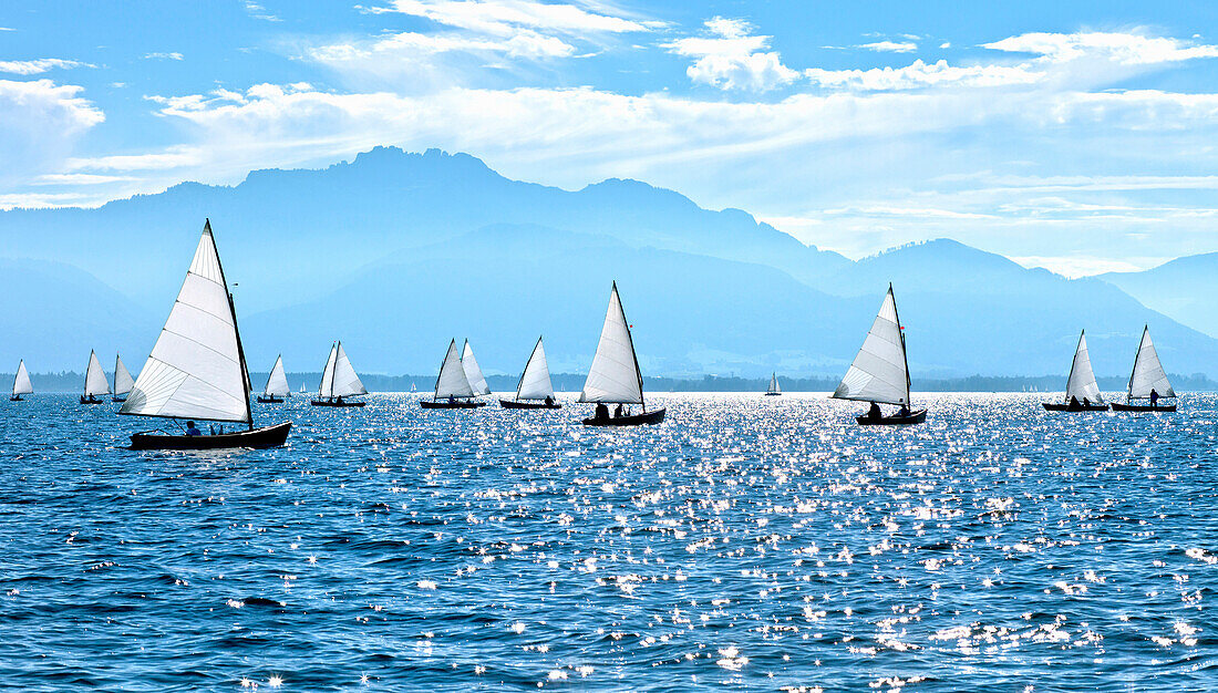 Chiemsee Regatta, Chiemsee, Chiemgau, Upper Bavaria, Bavaria, Germany