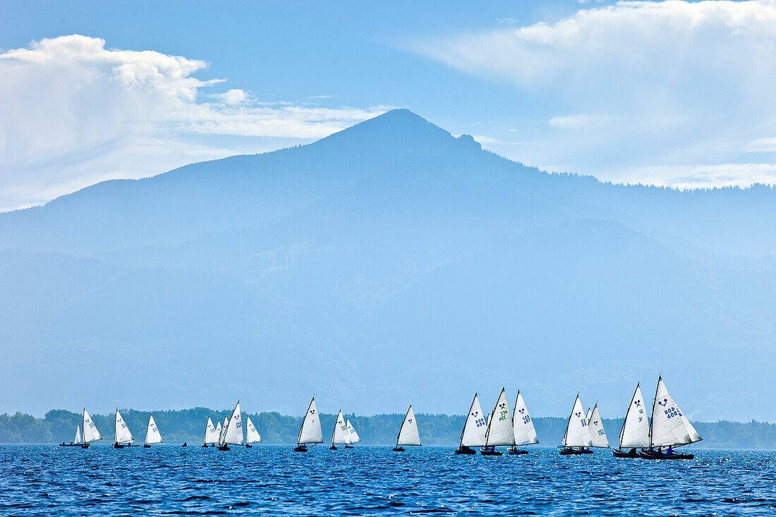 Chiemsee Regatta, Chiemsee, Chiemgau, Upper Bavaria, Bavaria, Germany