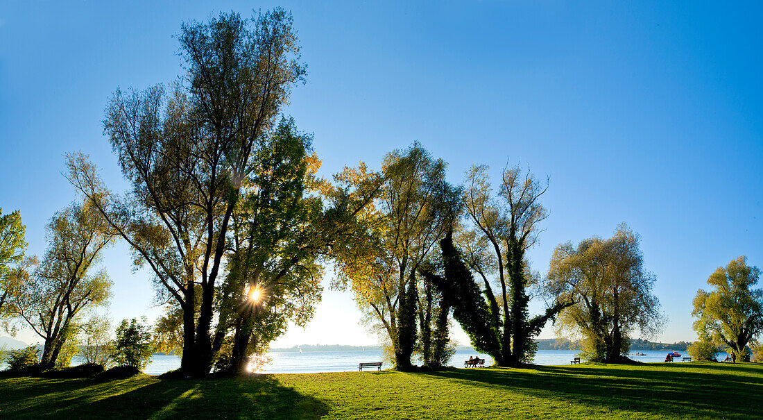 Nachmittagslicht auf der Westseite der Fraueninsel, Chiemsee, Chiemgau, Oberbayern, Bayern, Deutschland