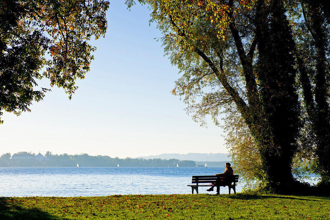 Benches on the west side of the Fraueninsel, Chiemsee, Chiemgau, Upper Bavaria, Bavaria, Germany