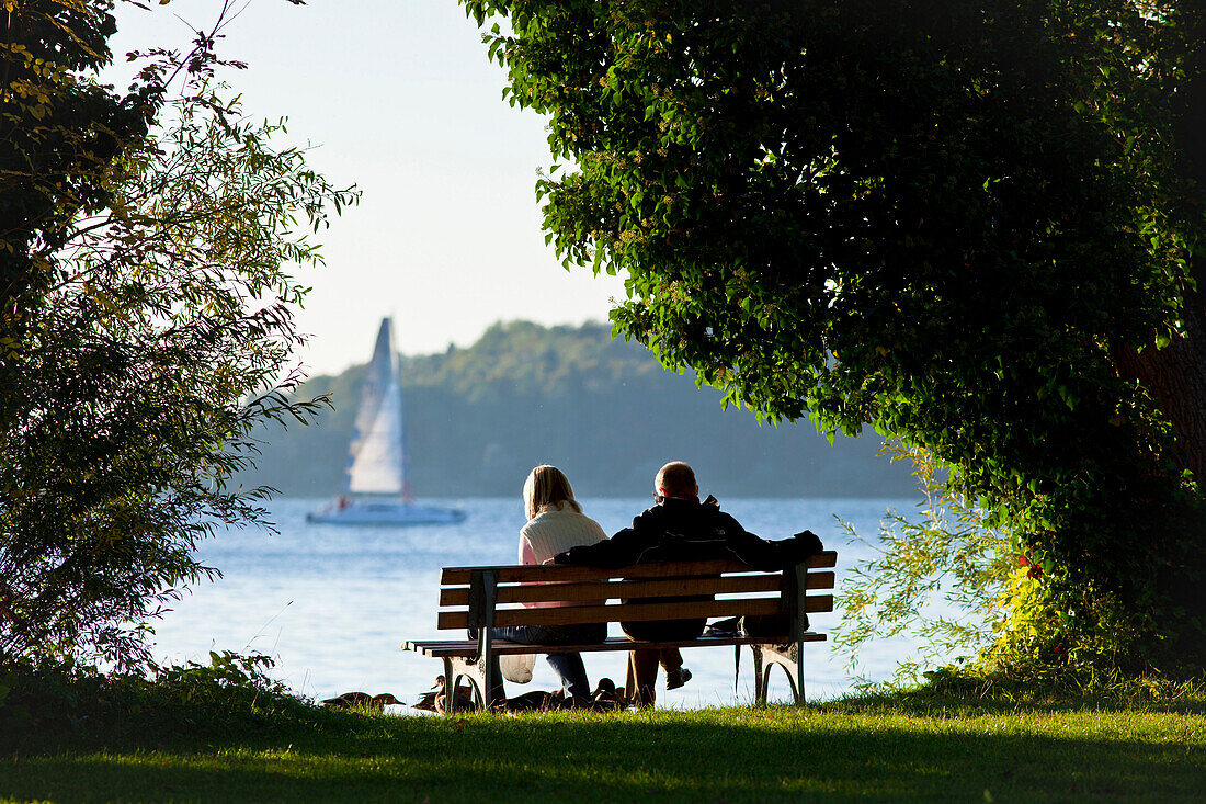 Benches on the west side of the Fraueninsel, Chiemsee, Chiemgau, Upper Bavaria, Bavaria, Germany