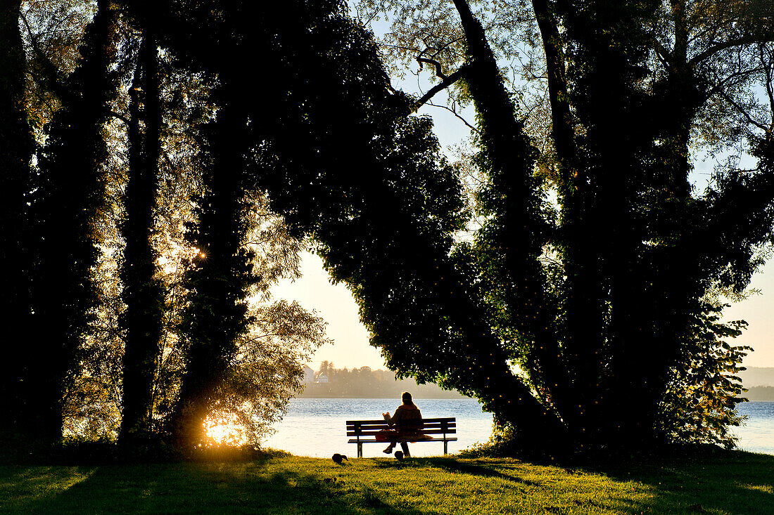 Benches on the west side of the Fraueninsel, Chiemsee, Chiemgau, Upper Bavaria, Bavaria, Germany