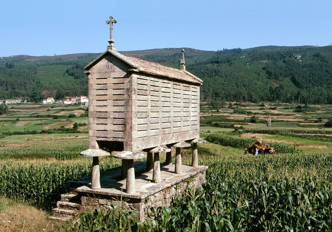 A stone built Horreo, a traditional Galician store for maize, in the countryside near Laxe in Galicia, North-West Spain