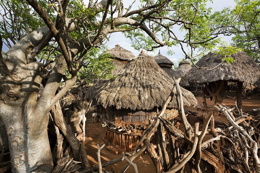 Traditional Konso village on a mountain ridge overlooking the rift valley Inside a family compound The Konso are living in tradtional villages with compunds for each family The compounds are connected by a maze of stone walled and fenced pathways  The
