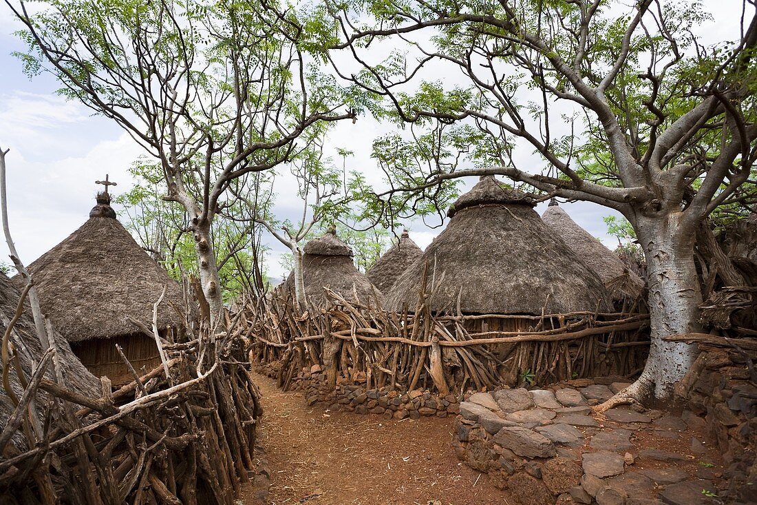 Traditional Konso village on a mountain ridge overlooking the rift valley The Konso are living in tradtional villages with compunds for each family The compounds are connected by a maze of stone walled and fenced pathways  The Konso, a tribe of the Ethi