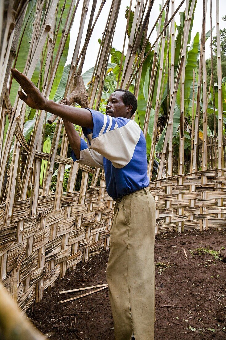 Building of a Dorze hut, which are made entirely from natural resources like bamboo and banana leaves The tribe of the Dorze is living high up in the Guge Moutains above the ethiopian part of the rift valley Dorze can be translated with weaverWeaving