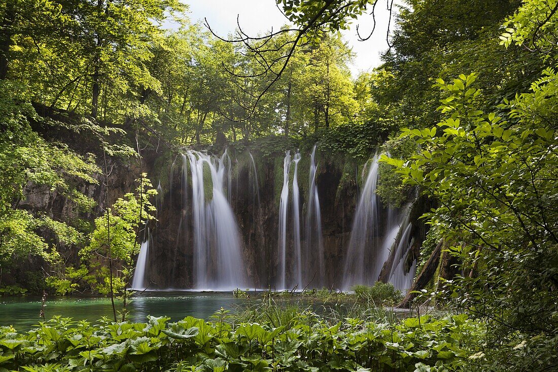 The Plitvice Lakes in the National Park Plitvicka Jezera in Croatia The upper lakes, ponds and waterfalls with lush vegetation The Plitvice Lakes are a string of lakes connected by waterfalls They are in a valley, which becomes a canyon in the lower pa