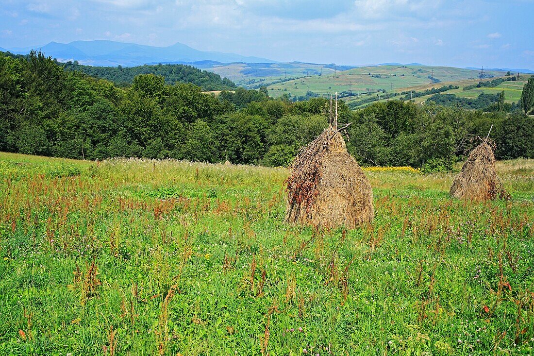 Carpathians, Zakarpattia Oblast Transcarpathian Oblast, Transcarpathia, Zakarpattya, Subcarpathian Rus, Ukraine