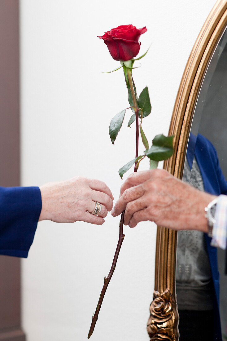 Ein alter Mann überreicht einer alten Frau eine Rose