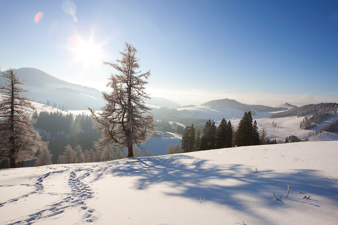 Teichalm in backlight, Styria, Austria