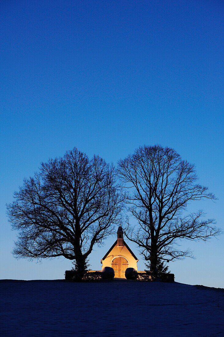 Illuminated chapel with two trees, lake Chiemsee, Chiemgau, Upper Bavaria, Bavaria, Germany, Europe