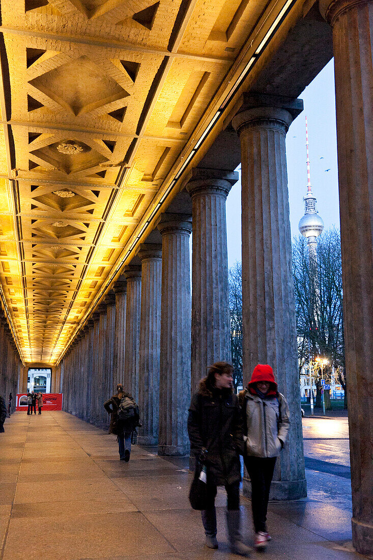 Neues Museum Berlin, nach der Wiedereröffnung und viel gelobten Restaurierung durch den britischen Stararchitekten David Chipperfield, Fernsehturm im Hintergrund, Museumsinsel, Berlin, Deutschland