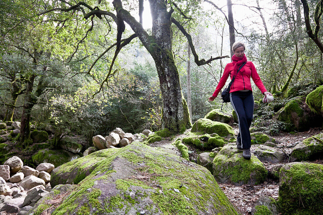 Junge Frau wandert zum Foret de Bonifatu, Schlucht Gorges de Spelunca, Wanderung zum Circe de Bonifatu, Ota, Korsika, Frankreich