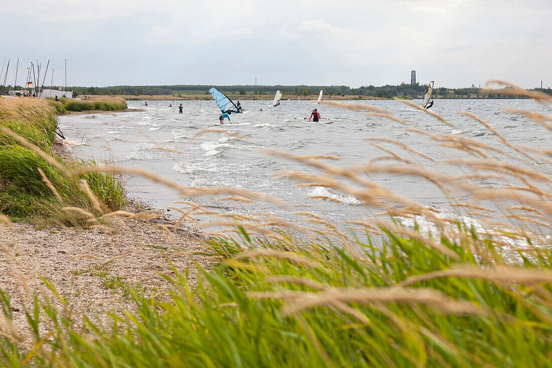 Windsurfer auf Cospudener See, Leipzig, Sachsen, Deutschland